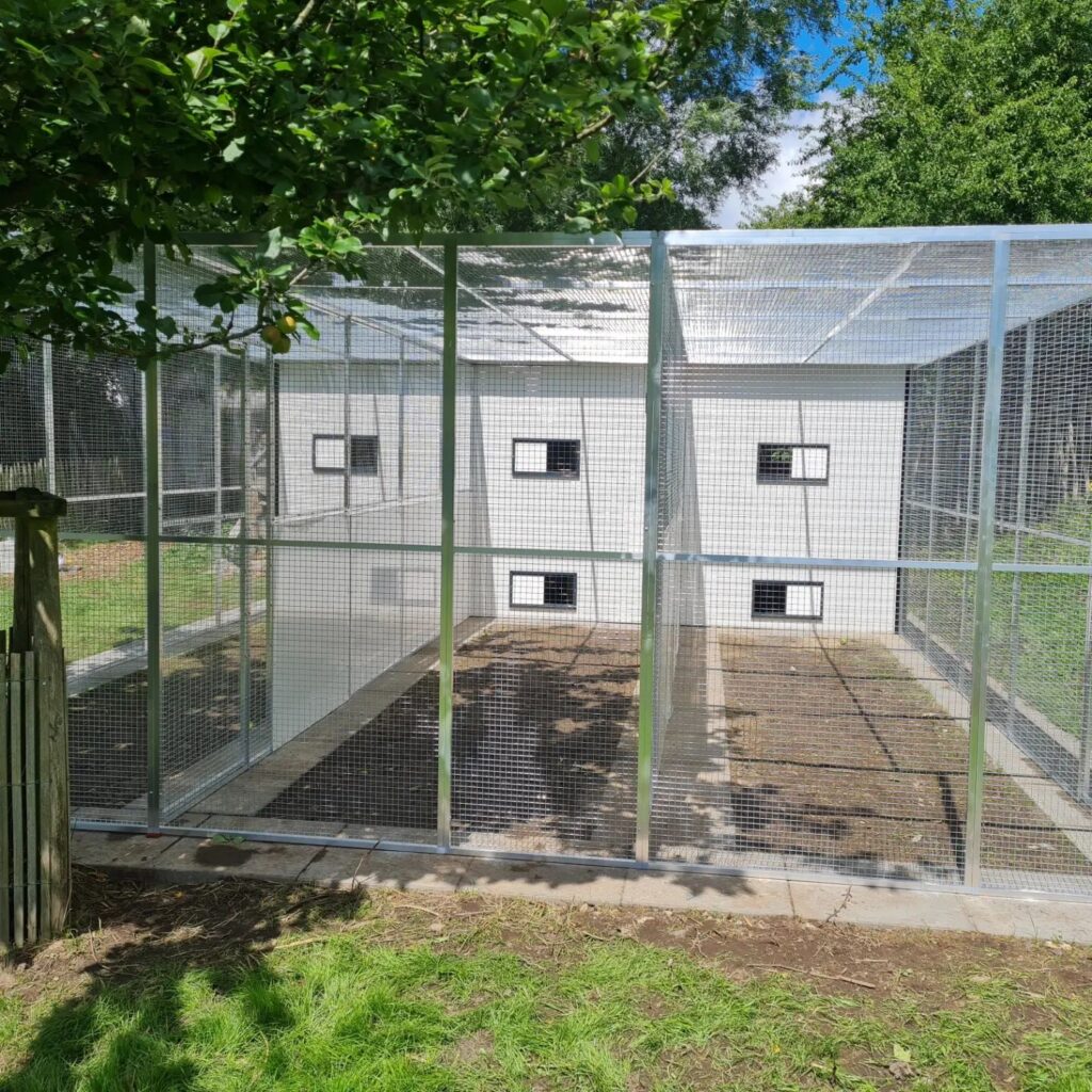 Außenvolieren Archive - Volierenbau Genge